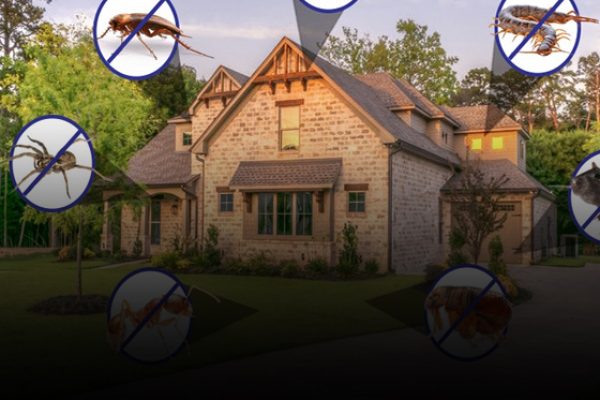 Domestic Pest Control