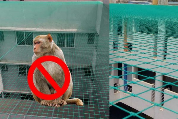 Monkey Bird Netting