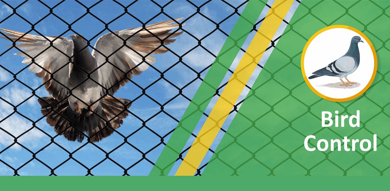 Anti Bird Net Dealers in Dwarka